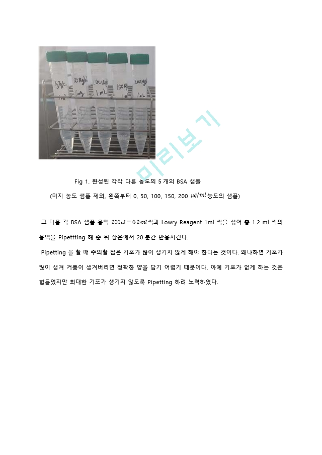 Lowry protein assay (단백질 정량 분석) 실험 결과레포트 [A＋].hwp